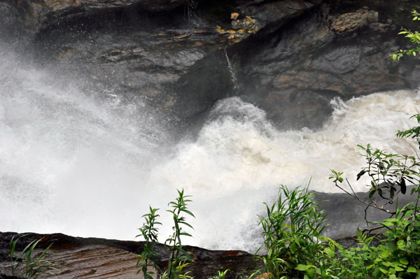 Looking down at the bottom of Dry Falls